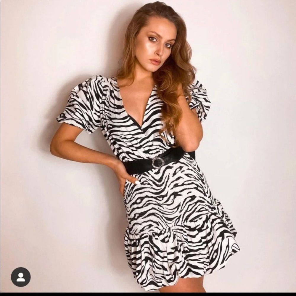 Zara zebra print dress